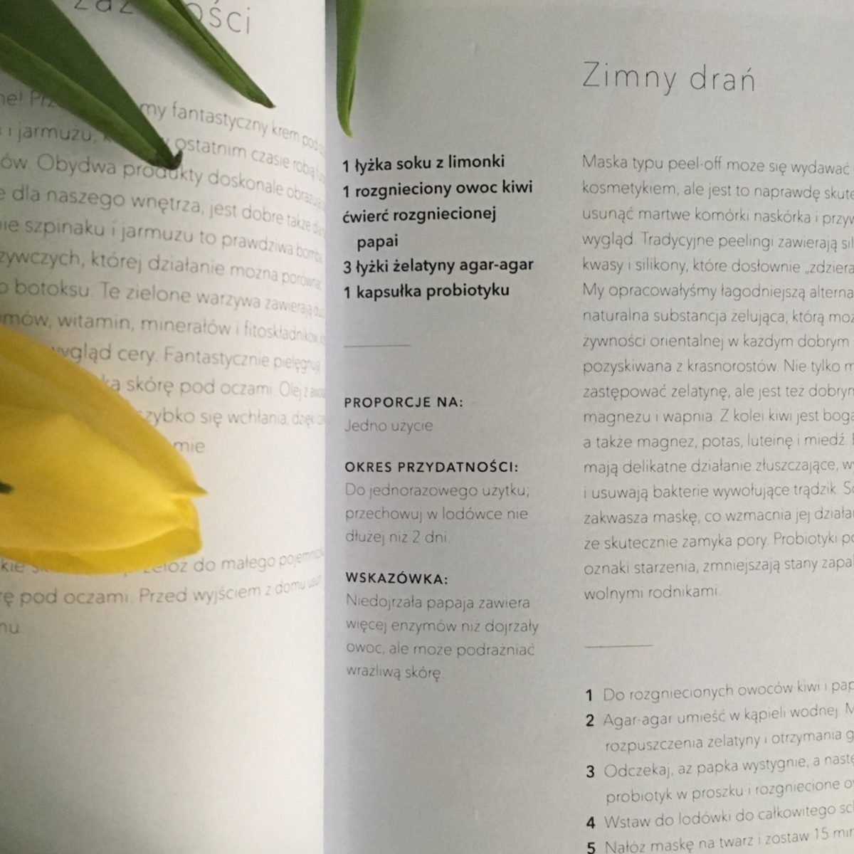 annemarie Clean-Beauty-Przepisy-na-kosmetyki-z-lodówki-peeloff