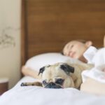 Czym są zmarszczki senne? Zdrowy sen z poduszką Omnia Sleep & Glow
